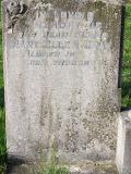 image of grave number 164155